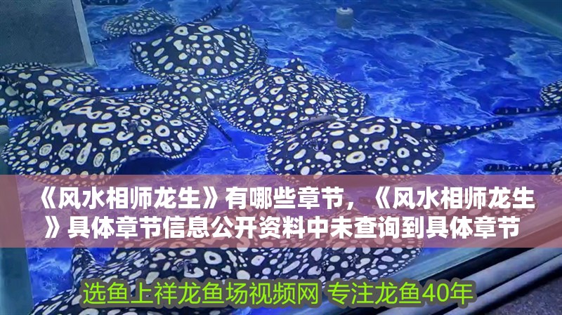 《風水相師龍生》有哪些章節，《風水相師龍生》具體章節信息公開資料中未查詢到具體章節信息