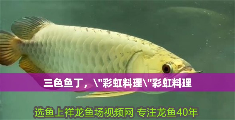 三色魚丁，\
