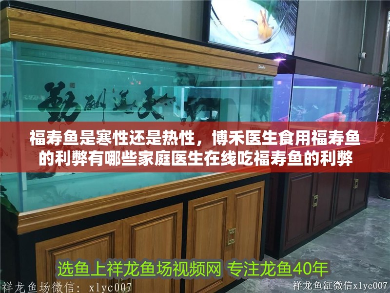 福壽魚是寒性還是熱性，博禾醫(yī)生食用福壽魚的利弊有哪些家庭醫(yī)生在線吃福壽魚的利弊 福壽魚是寒性還是熱性，博禾醫(yī)生食用福壽魚的利弊有哪些家庭醫(yī)生在線吃福壽魚的利弊 龍魚論壇