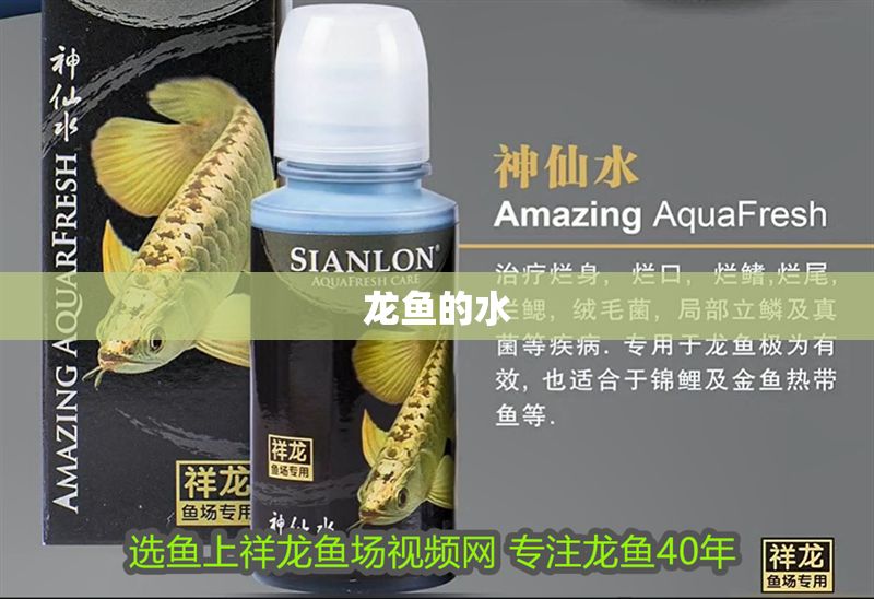 龍魚的水 龍魚的水 龍魚百科 第2張