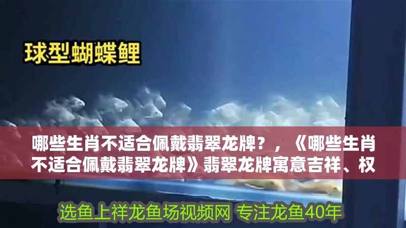 哪些生肖不適合佩戴翡翠龍牌？，《哪些生肖不適合佩戴翡翠龍牌》翡翠龍牌寓意吉祥、權威與力量 哪些生肖不適合佩戴翡翠龍牌？，《哪些生肖不適合佩戴翡翠龍牌》翡翠龍牌寓意吉祥、權威與力量 龍魚論壇