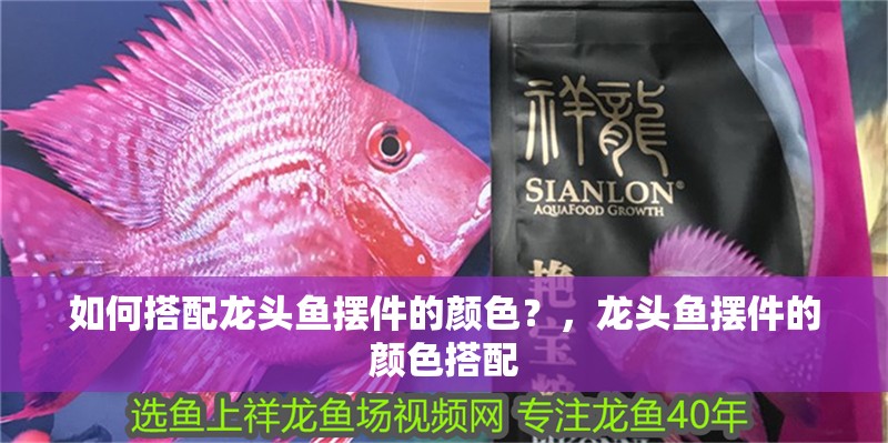 如何搭配龍頭魚擺件的顏色？，龍頭魚擺件的顏色搭配