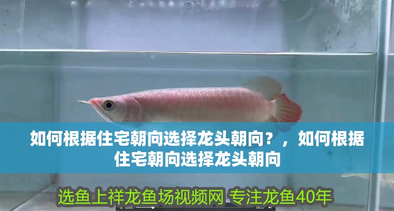 如何根據住宅朝向選擇龍頭朝向？，如何根據住宅朝向選擇龍頭朝向