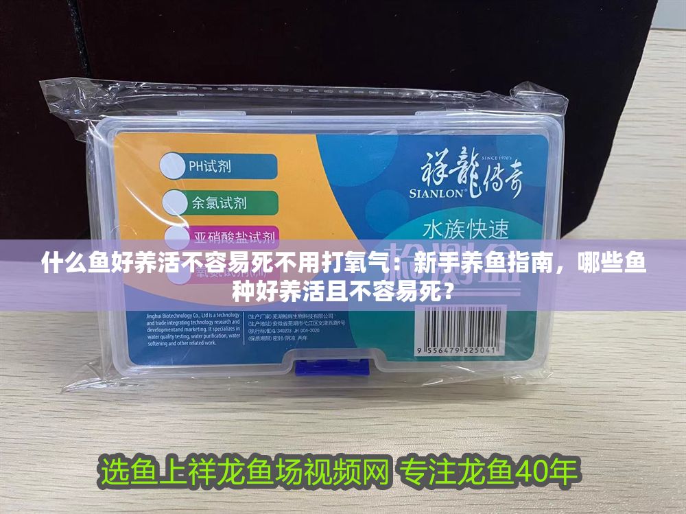 什么魚好養(yǎng)活不容易死不用打氧氣：新手養(yǎng)魚指南，哪些魚種好養(yǎng)活且不容易死？