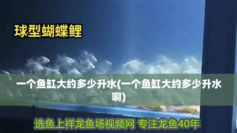 一個魚缸大約多少升水(一個魚缸大約多少升水啊)
