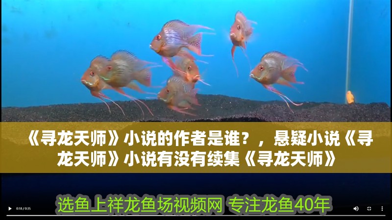 《尋龍天師》小說的作者是誰？，懸疑小說《尋龍天師》小說有沒有續集《尋龍天師》