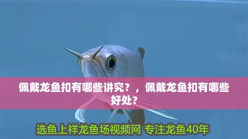 佩戴龍魚扣有哪些講究？，佩戴龍魚扣有哪些好處？