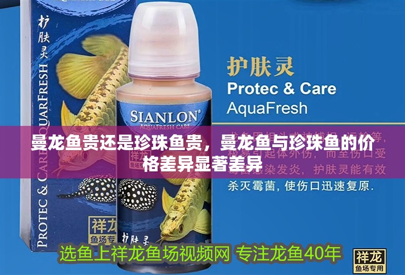 曼龍魚貴還是珍珠魚貴，曼龍魚與珍珠魚的價格差異顯著差異