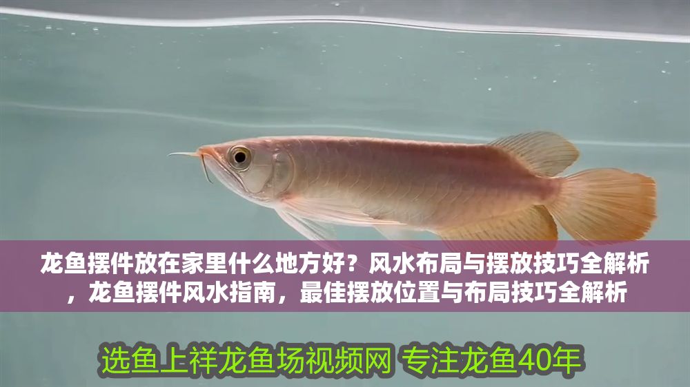 龍魚擺件放在家里什么地方好？風水布局與擺放技巧全解析，龍魚擺件風水指南，最佳擺放位置與布局技巧全解析 龍魚擺件放在家里什么地方好？風水布局與擺放技巧全解析，龍魚擺件風水指南，最佳擺放位置與布局技巧全解析 龍魚百科 第1張