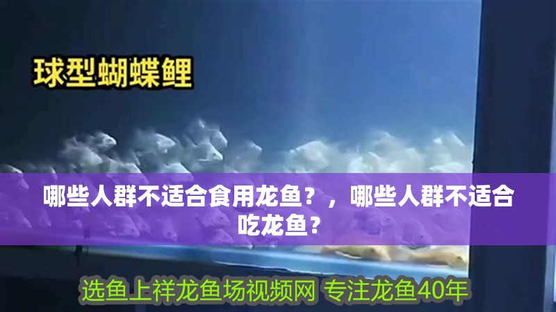 哪些人群不適合食用龍魚？，哪些人群不適合吃龍魚？