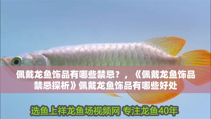 佩戴龍魚飾品有哪些禁忌？，《佩戴龍魚飾品禁忌探析》佩戴龍魚飾品有哪些好處