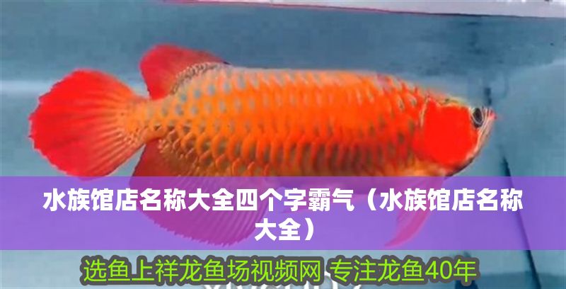 水族館店名稱大全四個(gè)字霸氣（水族館店名稱大全） 水族館店名稱大全四個(gè)字霸氣（水族館店名稱大全） 水族館百科（水族館加盟） 第1張