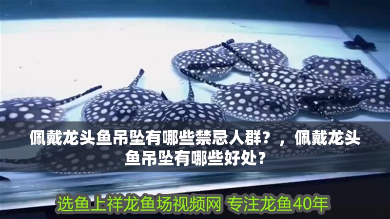 佩戴龍頭魚吊墜有哪些禁忌人群？，佩戴龍頭魚吊墜有哪些好處？