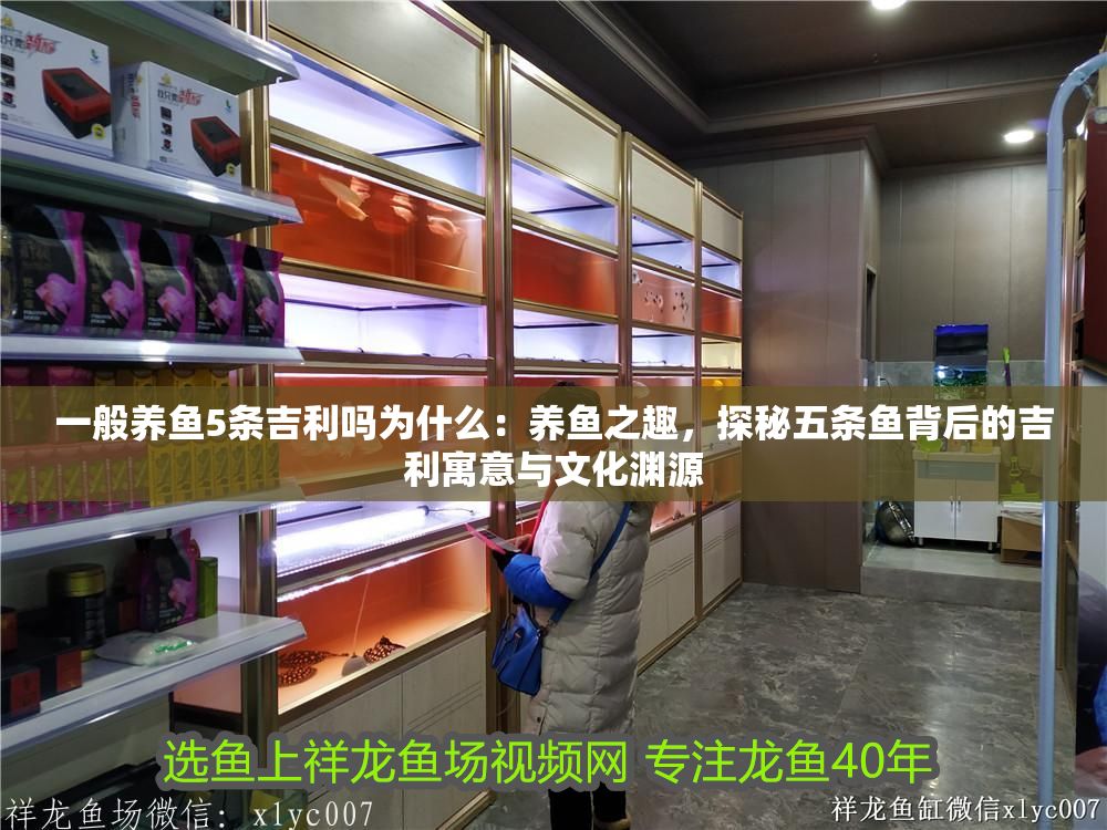 一般養魚5條吉利嗎為什么：養魚之趣，探秘五條魚背后的吉利寓意與文化淵源