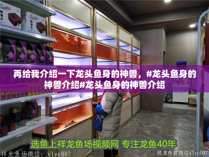 再給我介紹一下龍頭魚身的神獸，#龍頭魚身的神獸介紹#龍頭魚身的神獸介紹