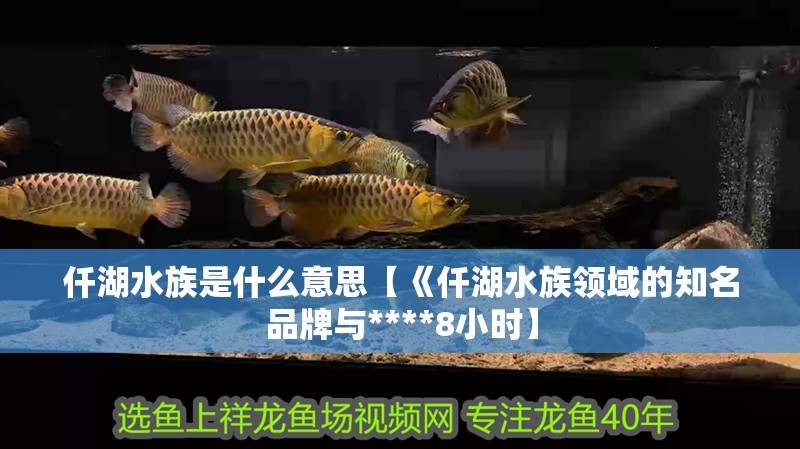 仟湖水族是什么意思【《仟湖水族領域的知名品牌與****8小時】