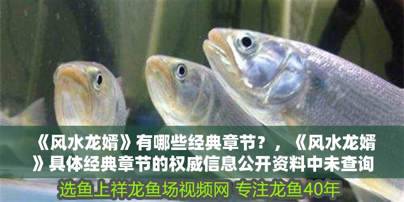 《風水龍婿》有哪些經典章節？，《風水龍婿》具體經典章節的權威信息公開資料中未查詢到