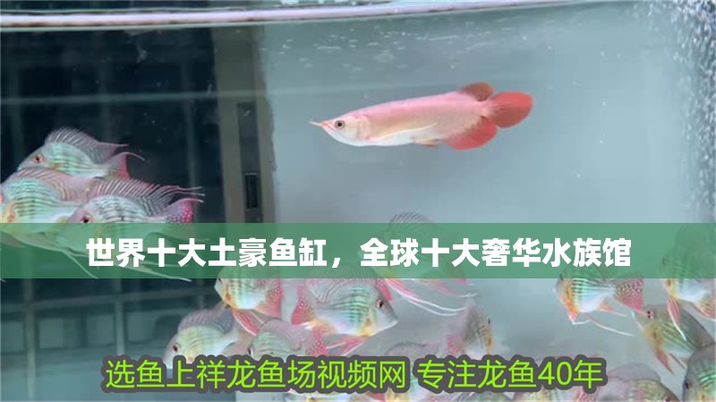 世界十大土豪魚缸，全球十大奢華水族館