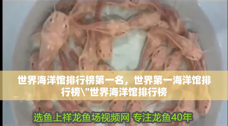 魚缸用增氧泵價格是多少:魚缸增氧機-xtrac增氧機-xtrac增氧機 世界海洋館排行榜第一名,世界第一海洋館排行榜\ 世界海洋館排行榜第一名,世界第一海洋館排行榜 世界海洋館排行榜第一名,世界第一海洋館排行榜\