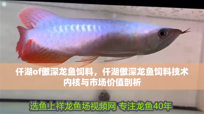 仟湖of傲深龍魚飼料，仟湖傲深龍魚飼料技術內核與市場價值剖析