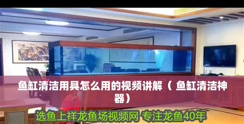 魚缸清潔用具怎么用的視頻講解( 魚缸清潔神器) 魚缸百科 第1張 魚缸清潔用具怎么用的視頻講解( 魚缸清潔神器) 魚缸清潔用具怎么用的視頻講解( 魚缸清潔神器) 魚缸百科 第1張