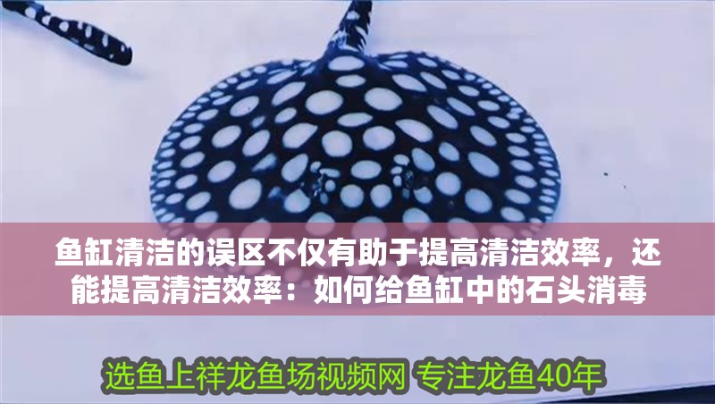 魚缸清潔的誤區(qū)不僅有助于提高清潔效率，還能提高清潔效率：如何給魚缸中的石頭消毒 魚缸清潔的誤區(qū)不僅有助于提高清潔效率，還能提高清潔效率：如何給魚缸中的石頭消毒 魚缸百科