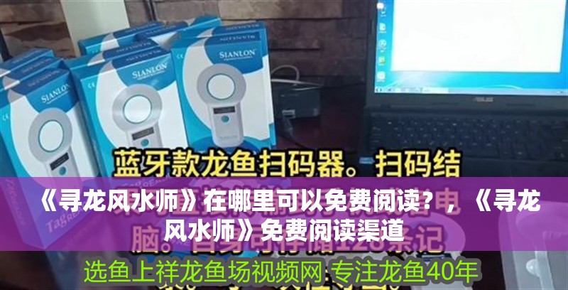 《尋龍風水師》在哪里可以免費閱讀？，《尋龍風水師》免費閱讀渠道