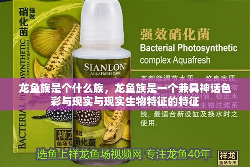 龍魚(yú)族是個(gè)什么族，龍魚(yú)族是一個(gè)兼具神話(huà)色彩與現(xiàn)實(shí)與現(xiàn)實(shí)生物特征的特征