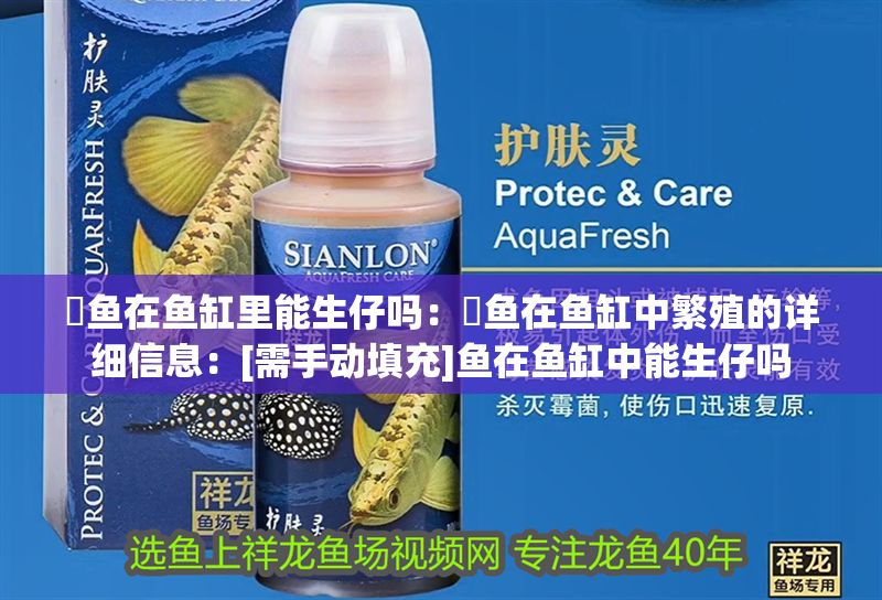 魟魚在魚缸里能生仔嗎：魟魚在魚缸中繁殖的詳細信息：[需手動填充]魚在魚缸中能生仔嗎