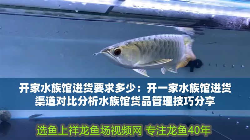 開家水族館進貨要求多少：開一家水族館進貨渠道對比分析水族館貨品管理技巧分享