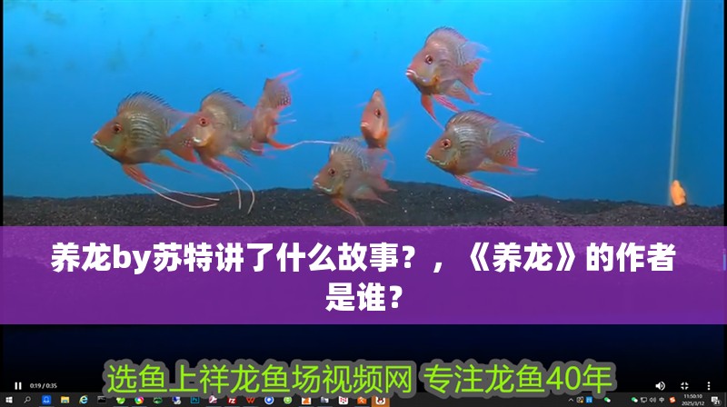 養(yǎng)龍by蘇特講了什么故事？，《養(yǎng)龍》的作者是誰(shuí)？