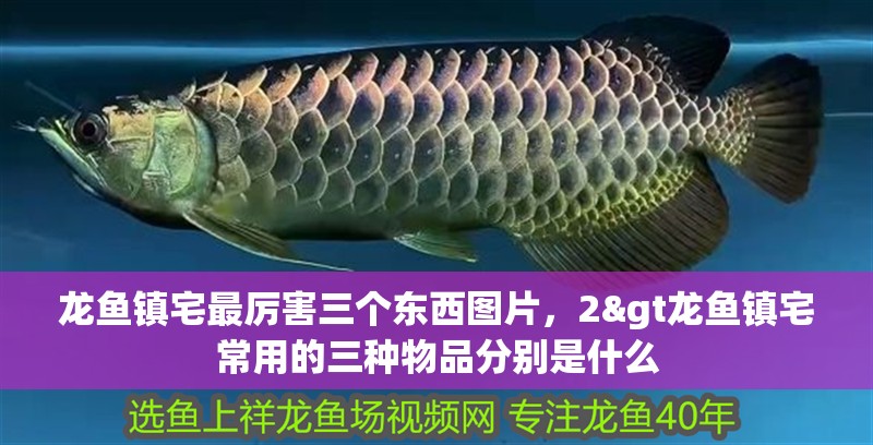 龍魚鎮(zhèn)宅最厲害三個東西圖片，2&gt龍魚鎮(zhèn)宅常用的三種物品分別是什么