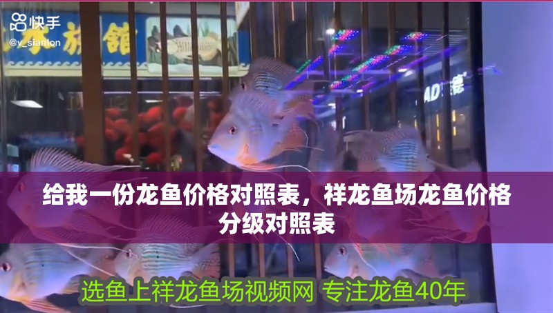 給我一份龍魚價格對照表，祥龍魚場龍魚價格分級對照表