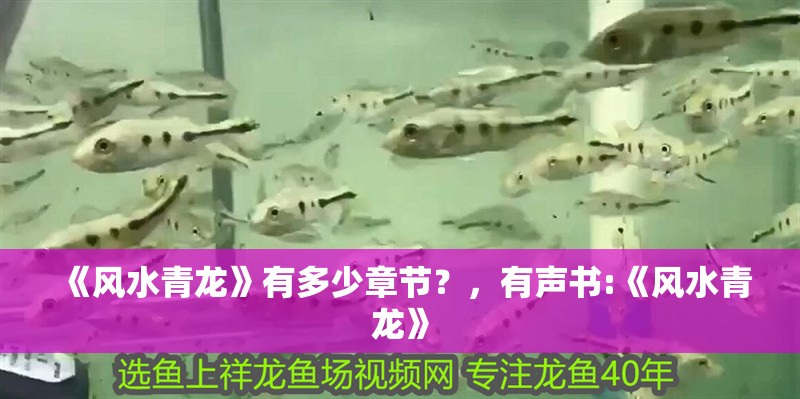 《風(fēng)水青龍》有多少章節(jié)？，有聲書:《風(fēng)水青龍》