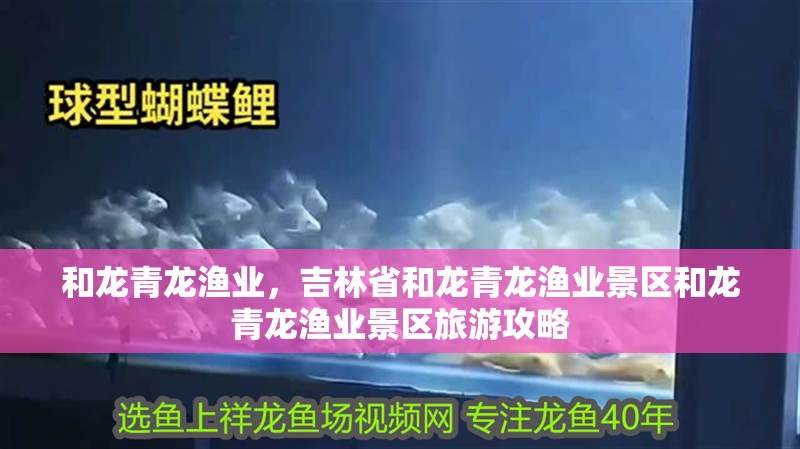 和龍青龍漁業，吉林省和龍青龍漁業景區和龍青龍漁業景區旅游攻略