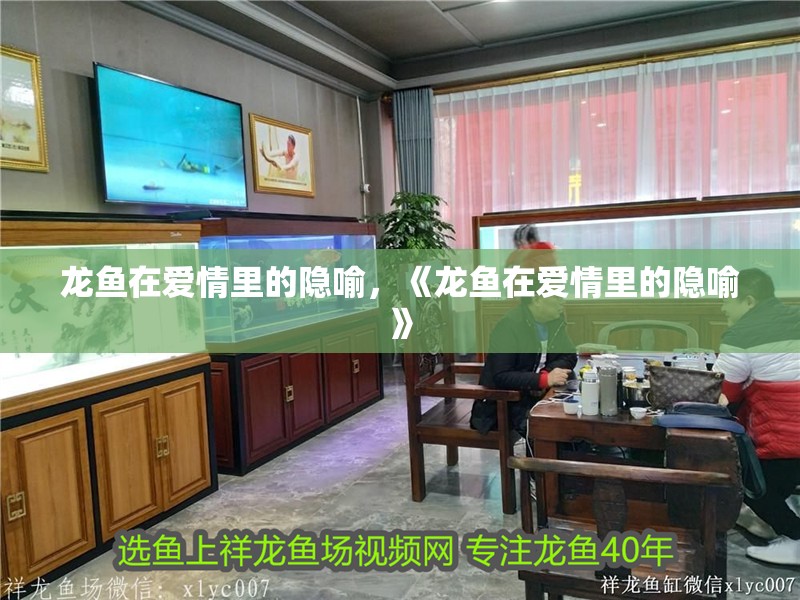 龍魚在愛情里的隱喻，《龍魚在愛情里的隱喻》