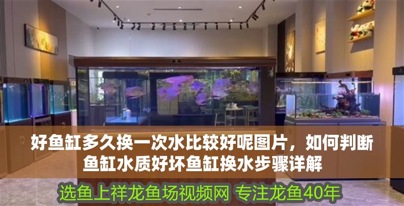 好魚缸多久換一次水比較好呢圖片，如何判斷魚缸水質(zhì)好壞魚缸換水步驟詳解