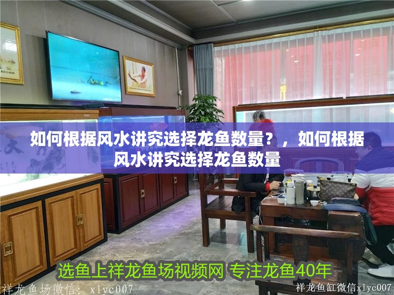 如何根據風水講究選擇龍魚數量？，如何根據風水講究選擇龍魚數量
