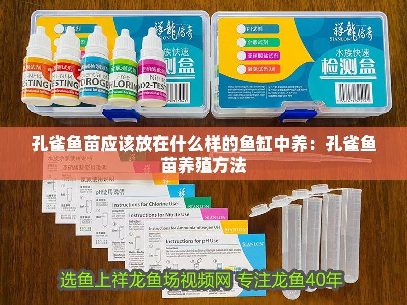 孔雀魚苗應(yīng)該放在什么樣的魚缸中養(yǎng)：孔雀魚苗養(yǎng)殖方法