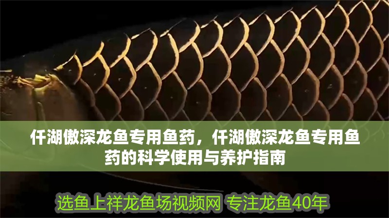 仟湖傲深龍魚專用魚藥，仟湖傲深龍魚專用魚藥的科學(xué)使用與養(yǎng)護(hù)指南