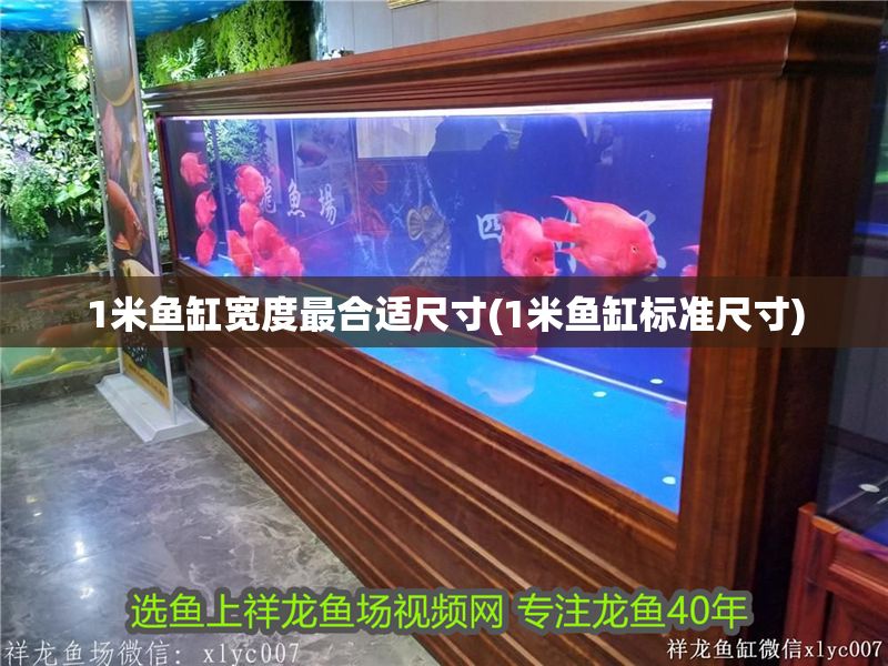 1米魚缸寬度最合適尺寸(1米魚缸標準尺寸)