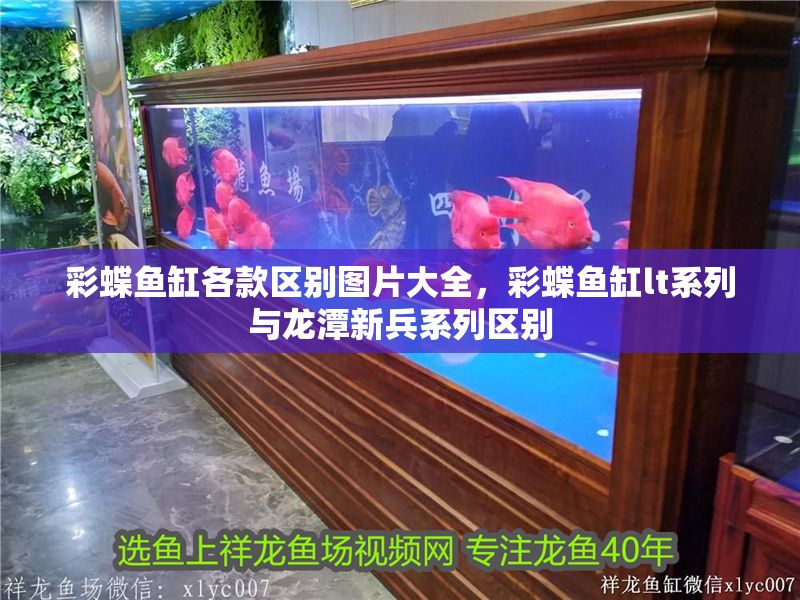 彩蝶魚缸各款區別圖片大全，彩蝶魚缸lt系列與龍潭新兵系列區別