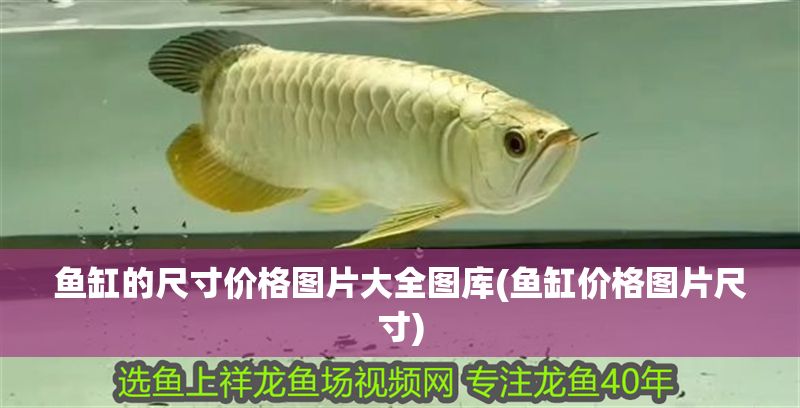魚缸的尺寸價格圖片大全圖庫(魚缸價格圖片尺寸)