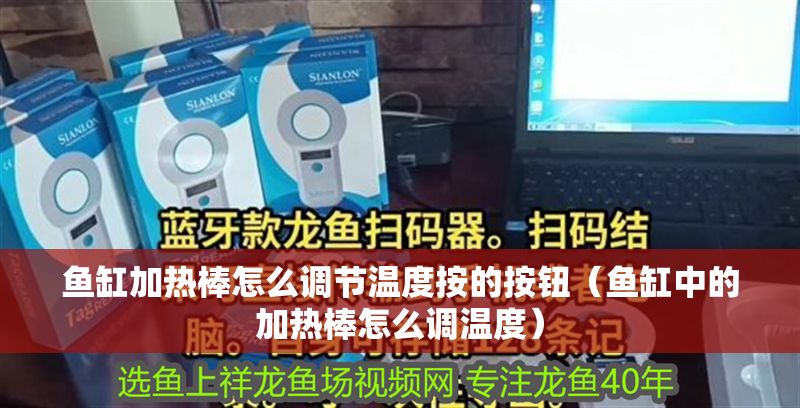 魚缸加熱棒怎么調節溫度按的按鈕（魚缸中的加熱棒怎么調溫度）