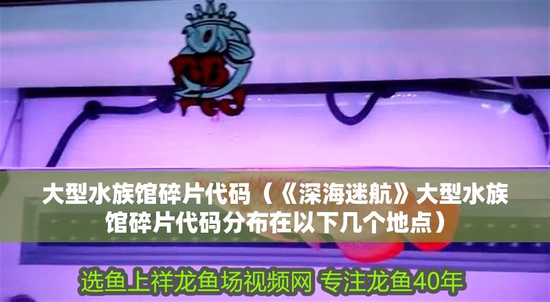 大型水族館碎片代碼（《深海迷航》大型水族館碎片代碼分布在以下幾個地點）