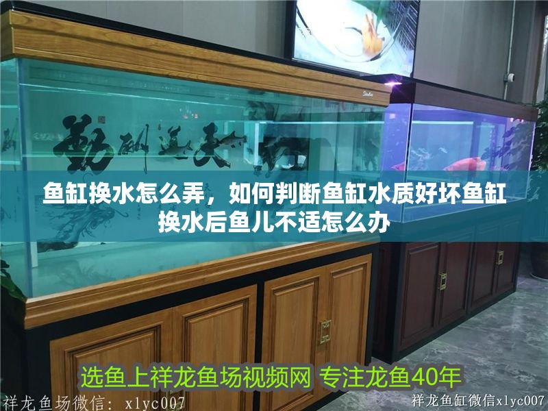 魚缸換水怎么弄，如何判斷魚缸水質好壞魚缸換水后魚兒不適怎么辦