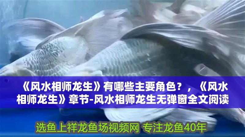 《風(fēng)水相師龍生》有哪些主要角色？，《風(fēng)水相師龍生》章節(jié)-風(fēng)水相師龍生無彈窗全文閱讀