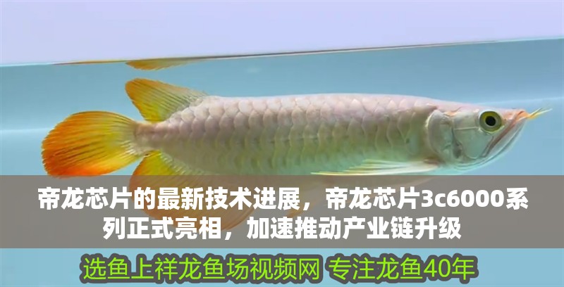 帝龍芯片的最新技術進展，帝龍芯片3c6000系列正式亮相，加速推動產業鏈升級