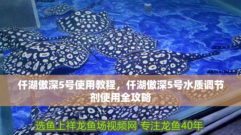 仟湖傲深5號使用教程，仟湖傲深5號水質調節劑使用全攻略