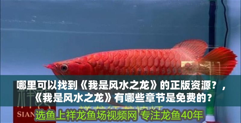 哪里可以找到《我是風水之龍》的正版資源？，《我是風水之龍》有哪些章節是免費的？
